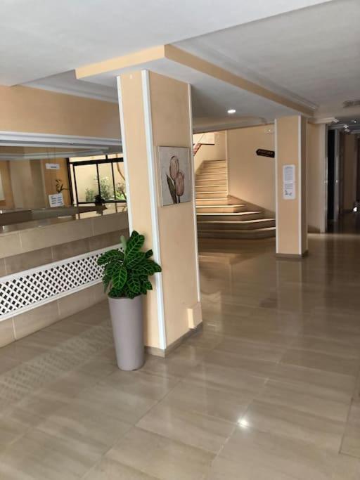 Apartament Sunset Aliss Пуерто де Сантяго Екстериор снимка